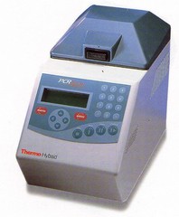 Thermo Electron PCR Sprint